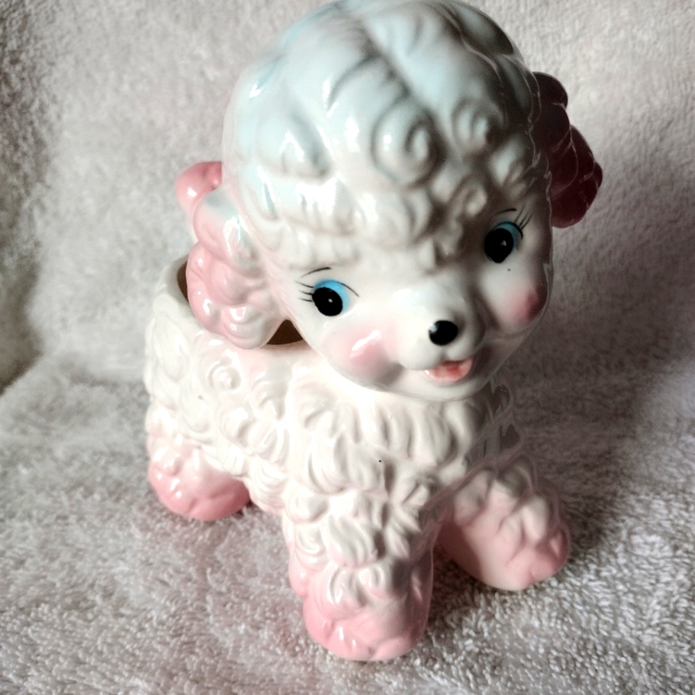 Planter baby poodle/Lamb